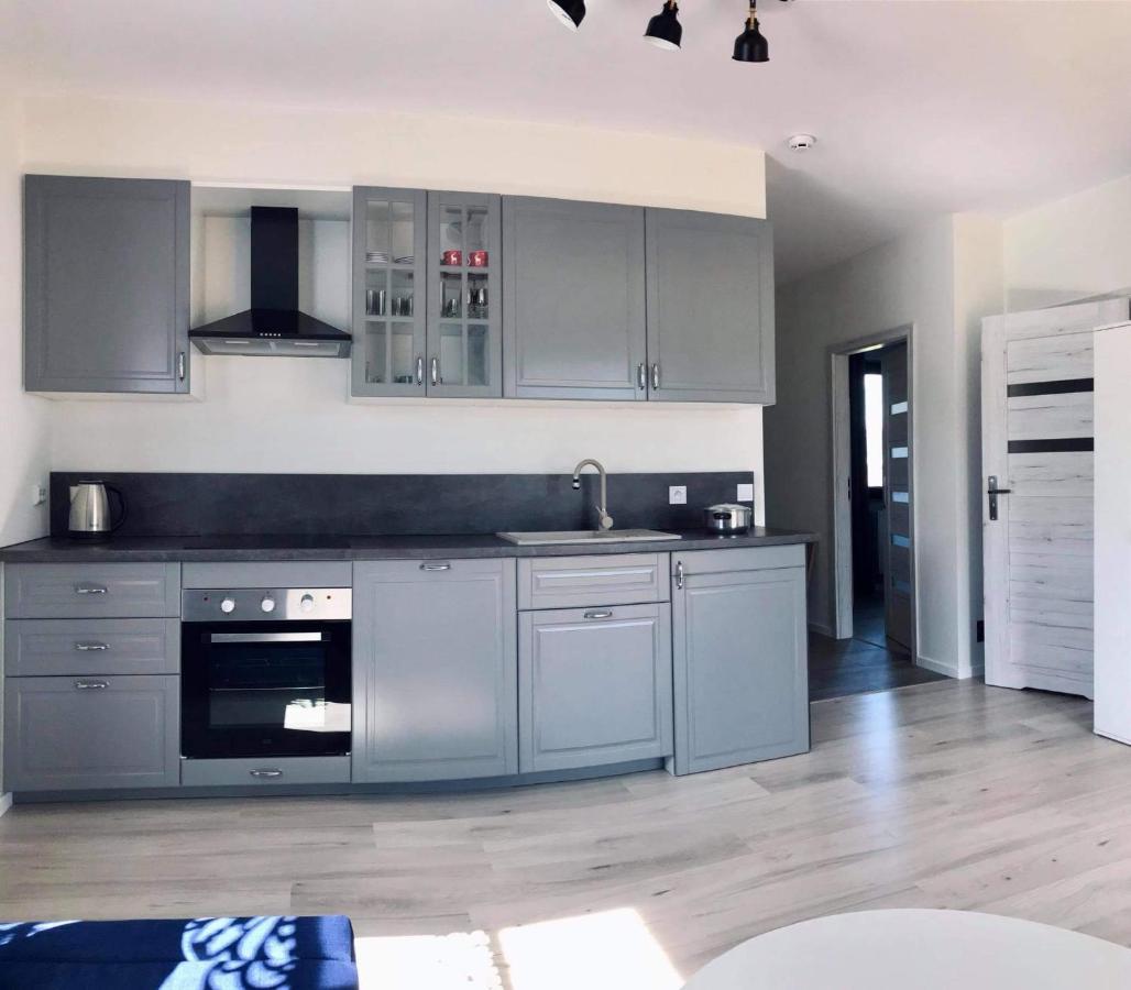 Apartament Przy Potoku Zubrzyca Gorna Экстерьер фото